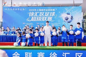 瓦尔迪归国后对意甲联赛的批评与反思